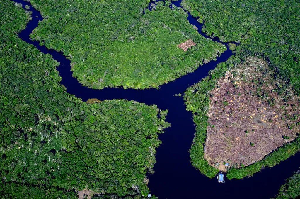 Desmatamento próximo a terra indígena no município de Careiro da Várzea (Foto: Alberto César Araújo/Amazônia Real)