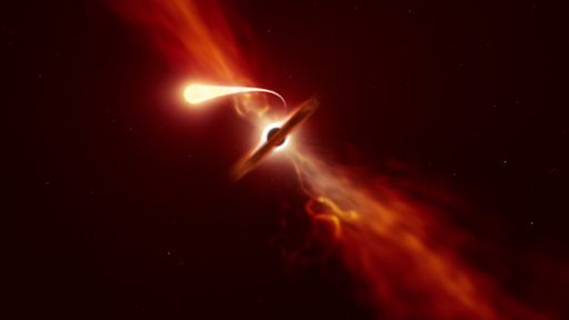 Astrônomos conseguem observar estrela sendo engolida por um buraco negro
