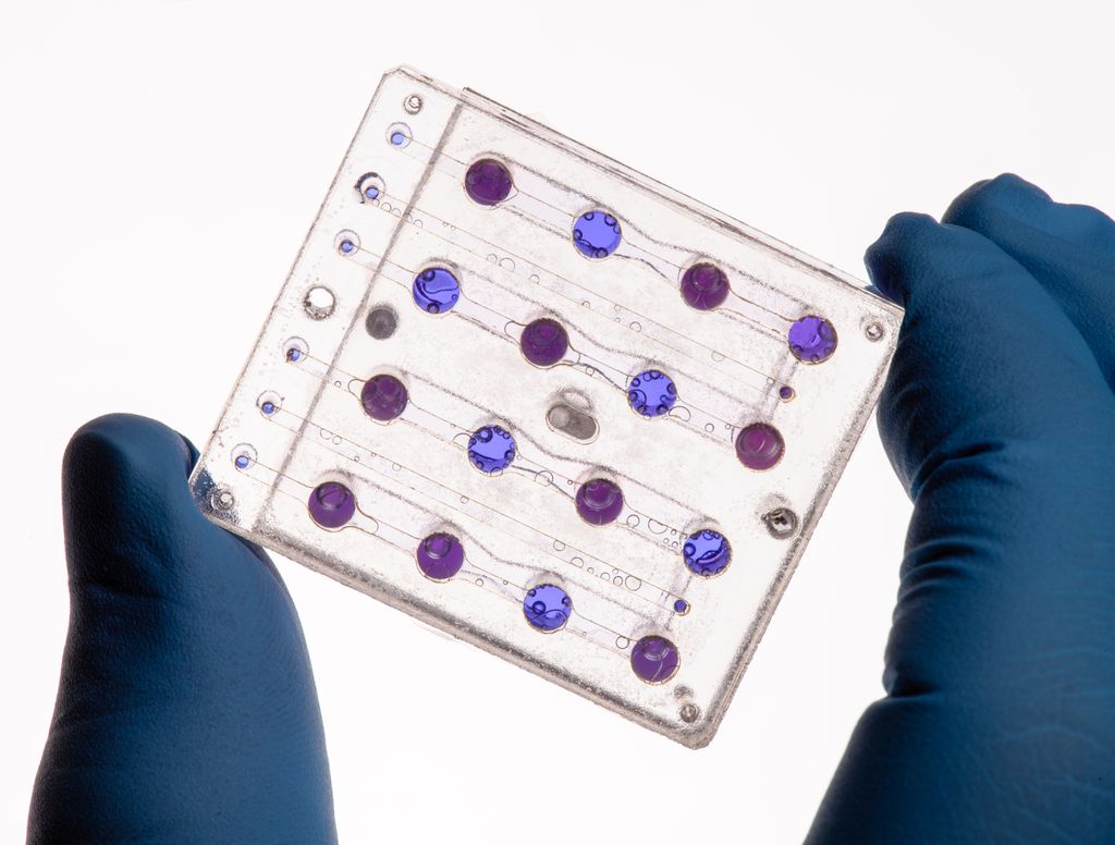 A placa da BioSentinel que será usada para estudar o impacto da radiação espacial nas amostras de leveduras (Foto: NASA)