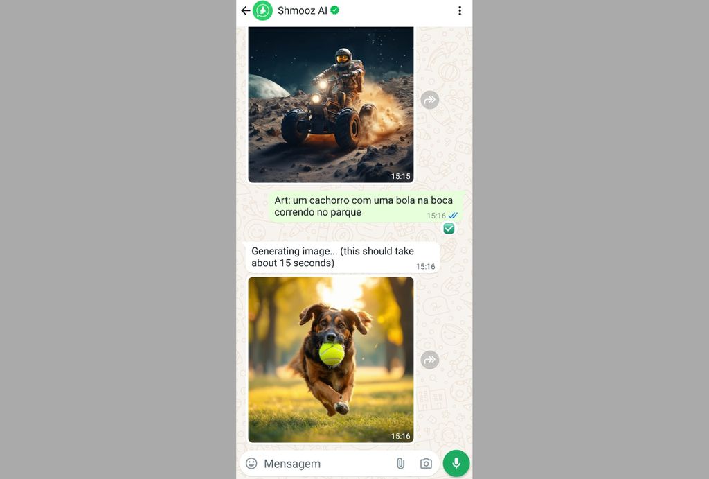 Shmooz é uma IA para WhatsApp que gera imagens a partir de comandos de texto (Imagem Captura de tela/Guilherme Haas/Canaltech)