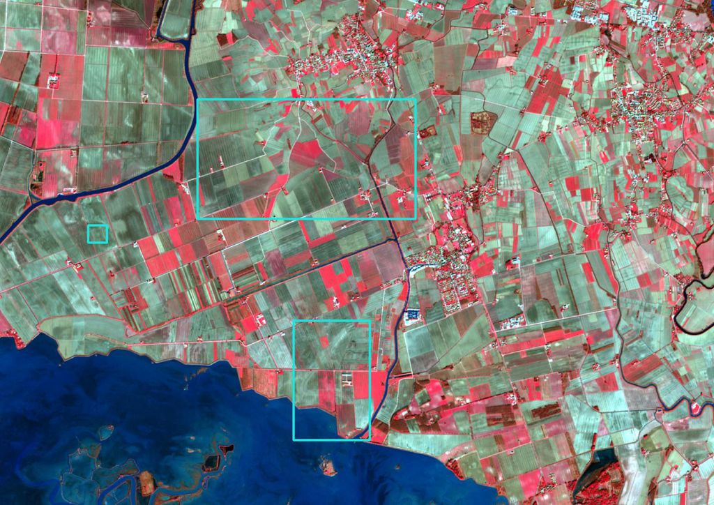 Imagem obtida através do satélite Sentinel 2, da ESA. As cores são artificiais (Imagem: Reprodução/ESA/IIT)