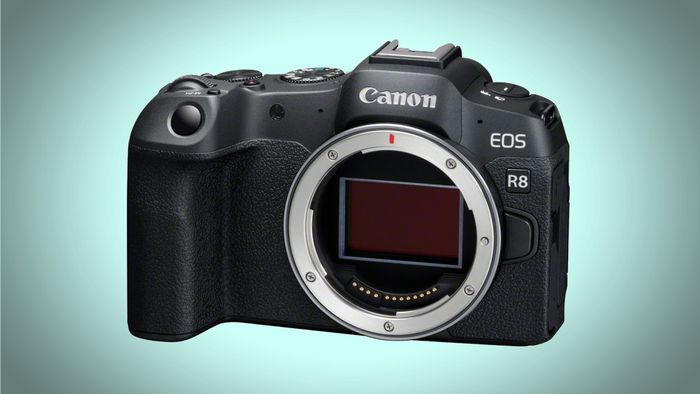 Fotógrafo vence concurso e prova que câmeras "antigas" ainda dão conta do recado