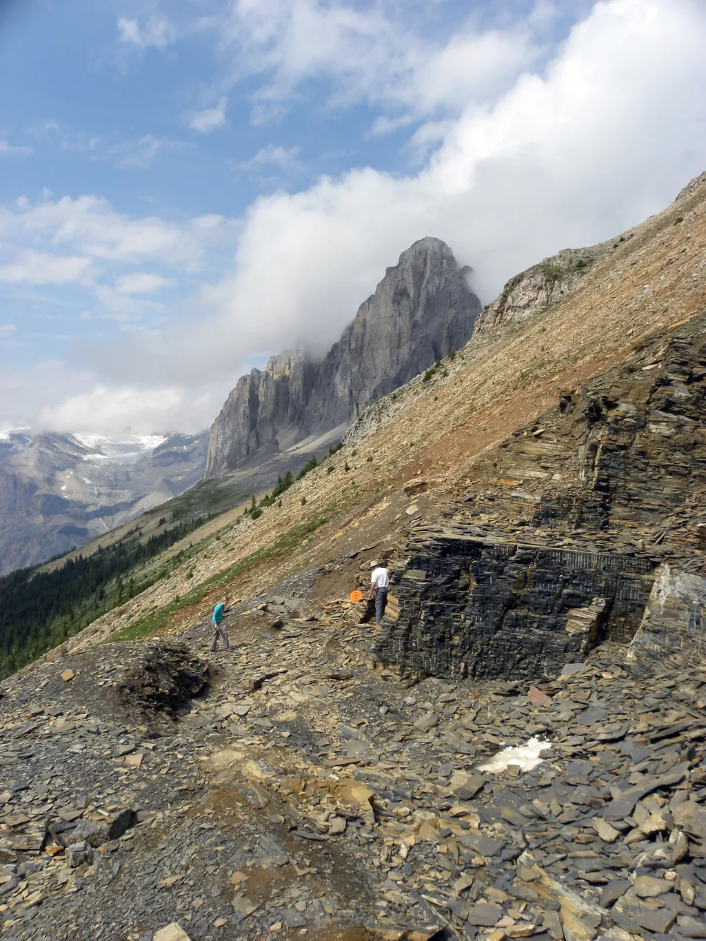 Pedreira Walcott, que faz parte do Folhelho Burgess, no Canadá, onde os fósseis foram encontrados nas últimas décadas (Imagem: Mark A. Wilson/Domínio Público)