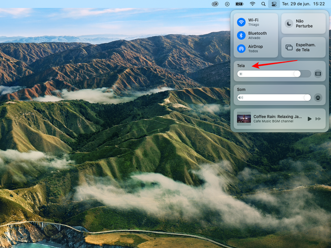 Na Central de Controle do Mac, clique em "Tela" - Captura de tela: Thiago Furquim (Canaltech)