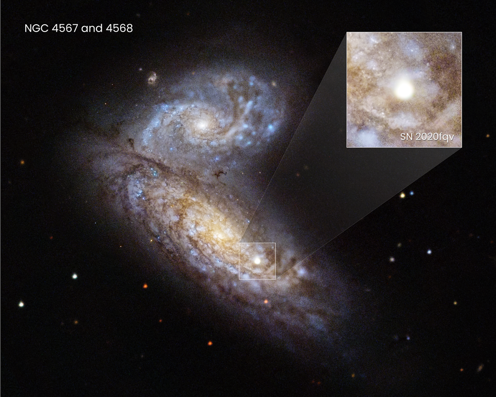 Com as observações do material próximo da supernova, feitas pelo Hubble, os pesquisadores conseguiram entender melhor os momentos finais da estrela (Imagem: Reprodução/NASA, ESA, Ryan Foley (UC Santa Cruz); Processamento: Joseph DePasquale (STScI)