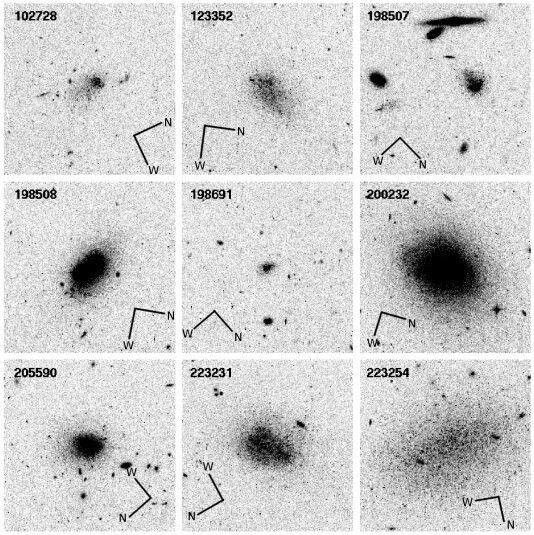 Imagens de nove galáxias do estudo (Imagem: Reprodução/Tikhonov et al., 2020.)