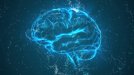 Novo estudo cria primeiro atlas do cérebro humano