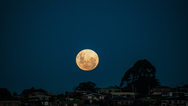 Mieke Campbell/Unsplash