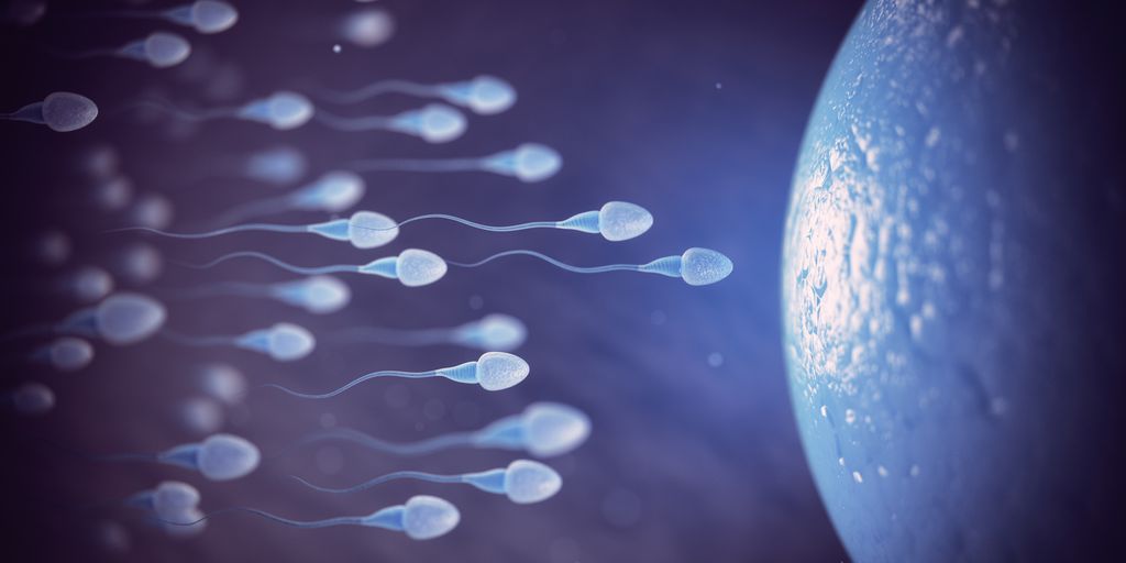 Cientistas descobrem que espermatozoides violam as leis da física (Imagem: Maxxyustas/Envato Elements)