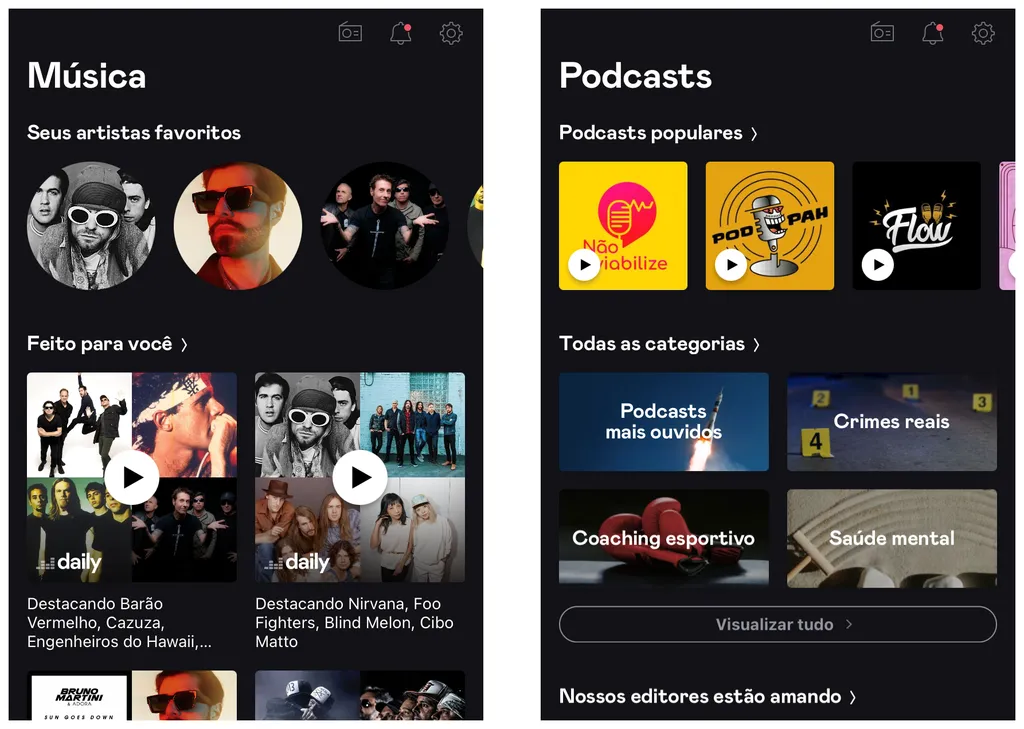 O modo premium do Deezer permite baixar músicas legalmente no iPhone (Imagem: Thiago Furquim)