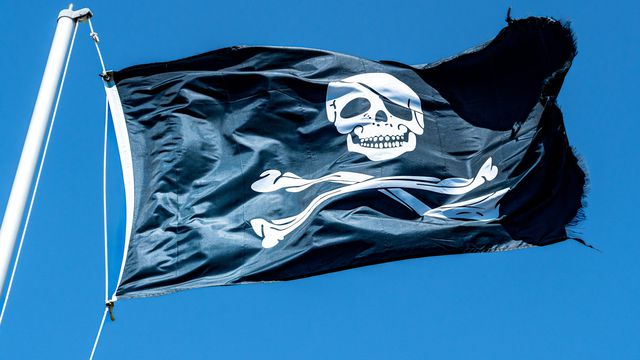 Unsplash/Chris Robert