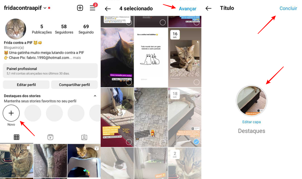 É possível criar Destaques do Instagram na bio de um perfil (Imagem: Captura de tela/Fabrício Calixto/Canaltech)