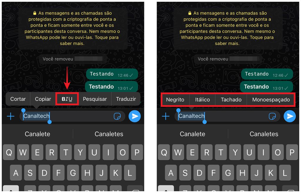 Itálico WhatsApp: Veja como utilizar esta fonte no App! em 2023