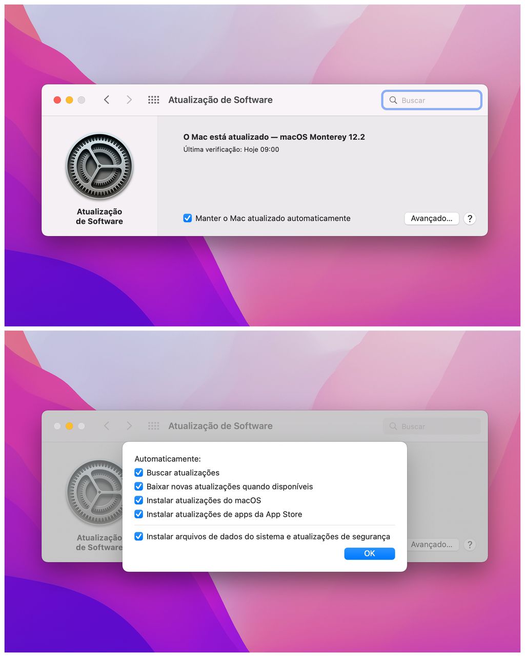 Mantenha o sistema macOS sempre atualizado de forma automática na sua máquina (Captura de tela: Lucas Wetten)