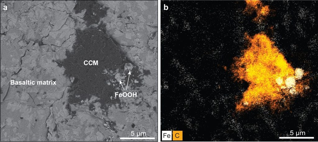 Métodos de microscopia eletrônica permitiram encontrar matéria orgânica abiótica, como mostrado na imagem, rodeada pelo mineral goetita (Imagem: NIGPAS)