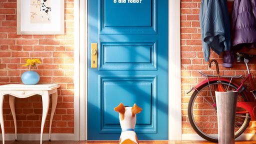 Novos filmes nos cinemas: Pets, Águas Rasas, Nerve e muito mais (25 a 31/08)