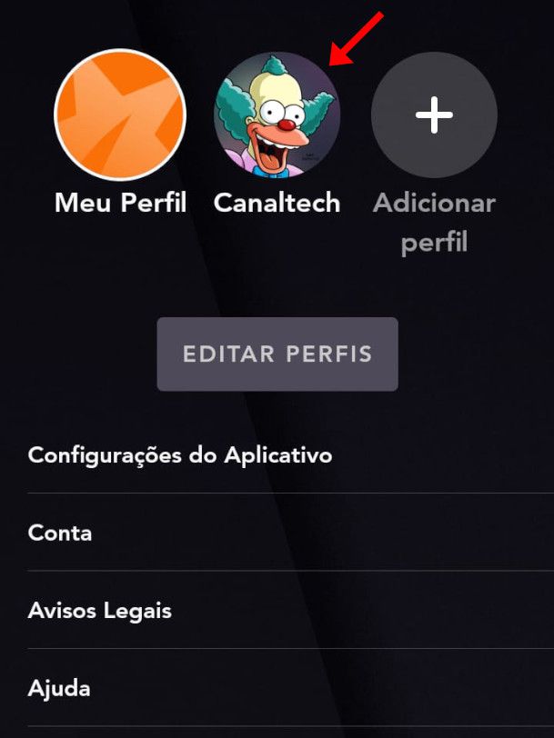 O novo perfil foi devidamente criado (Captura de tela: Matheus Bigogno)