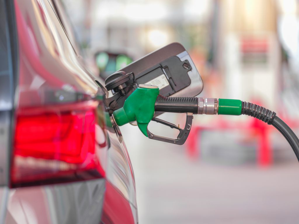 Gasolina