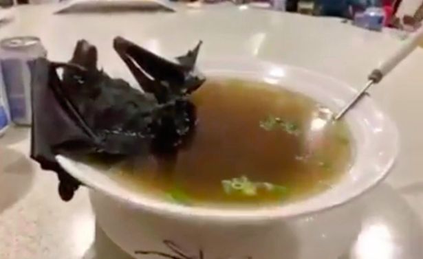 A sopa de morcego é uma iguaria típica da região de Wuhan (Imagem: Daily Star)