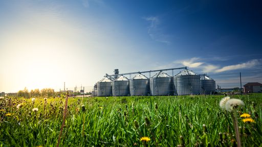 Como a Inteligência Artificial vai transformar o agronegócio