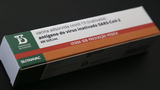 ButanVac: quer fazer seu pré-cadastro para testes em humanos? Saiba como!