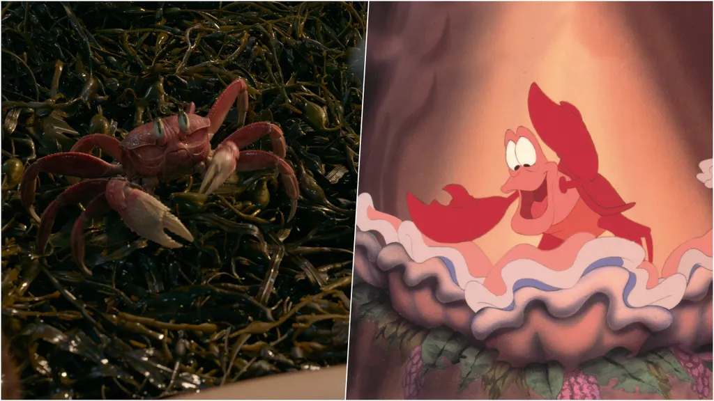 A Pequena Sereia  10 diferenças entre o filme e o desenho - Canaltech