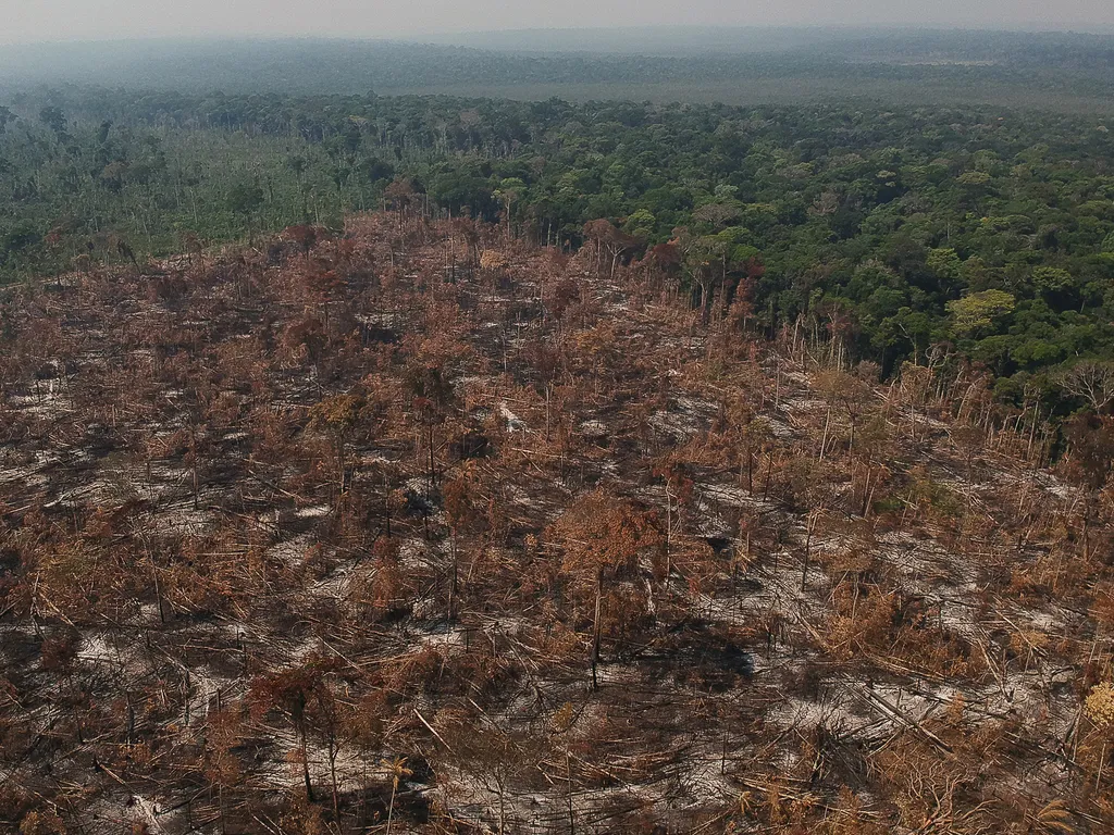 O aumento na atividade de garimpeiros e grileiros na Amazônia vem preocupando ambientalistas nos últimos anos (Imagem: Bruno Kelly/Amazônia Real/Wikimedia Commons)