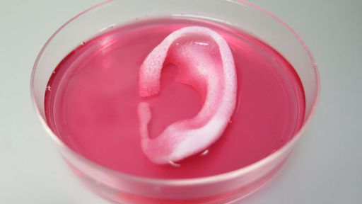 Cientistas criam sistema de impressão 3D que fabrica ossos, músculos e orelhas