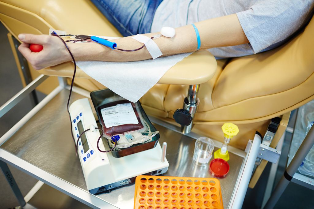 Doar sangue pode salvar vidas e os bancos nacionais precisam de doações (Imagem: Reprodução/Pressmaster/Envato Elements)