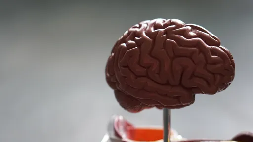 Cérebros criados em laboratório podem se tornar conscientes?