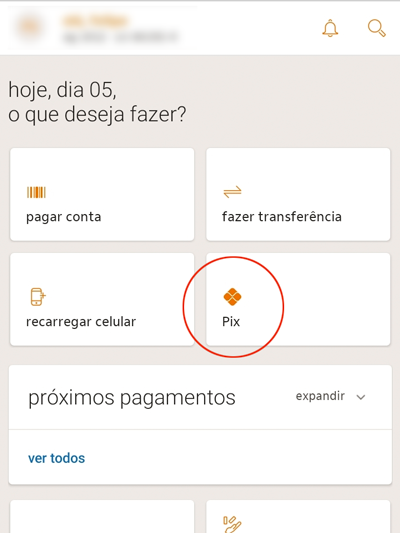 Exemplo de aba para acesso ao Pix no Itaú (Imagem: Felipe Freitas/Captura de tela)
