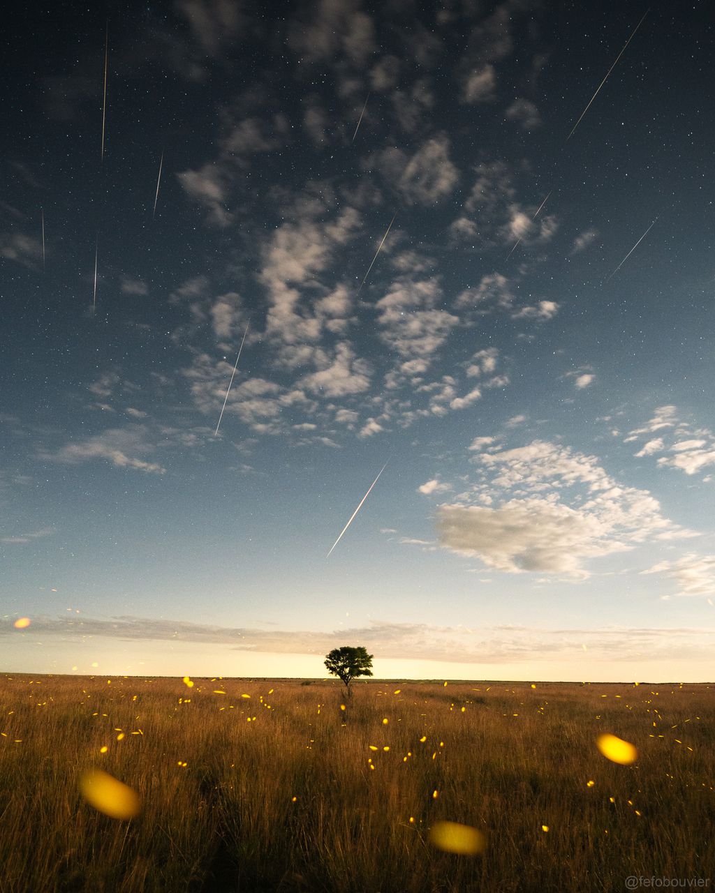 Meteoros da chuva das Geminídeas, junto do brilho de vagalumes (Imagem: Reprodução/Fefo Bouvier)