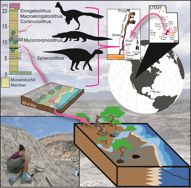 Infográfico mostrando o local dos EUA onde os ovos foram encontrados, sua profundidade geológica e os dinossauros que acredita-se serem responsáveis pelos fósseis (Imagem: Ryan Tucker, Josh Hedge/CC-BY-4.0)