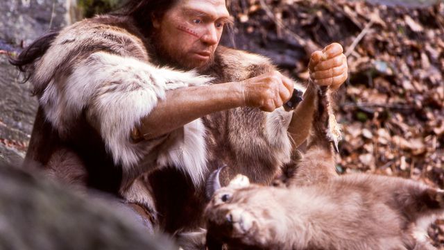 Neanderthal-Museum, Mettmann/CC-BY-4.0