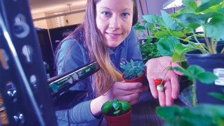 Estudante inventa robôs capazes de cultivar alimentos em Marte