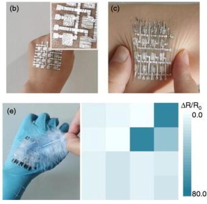 Cientistas chineses desenvolvem sensores táteis ultrassensíveis (Foto: Reprodução/ AIP Publishing)