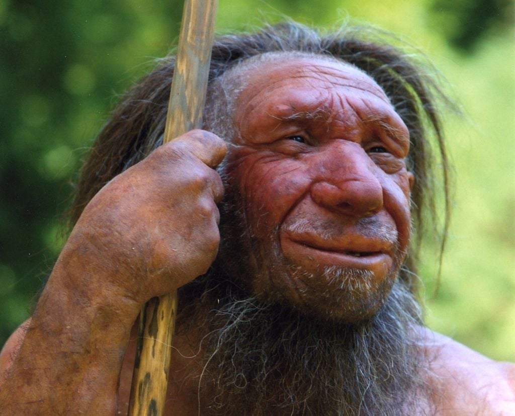 Variantes raras do DNA de neandertais podem ter relação com o autismo (Imagem: Neanderthal-Museum/Wikimedia Commons)
