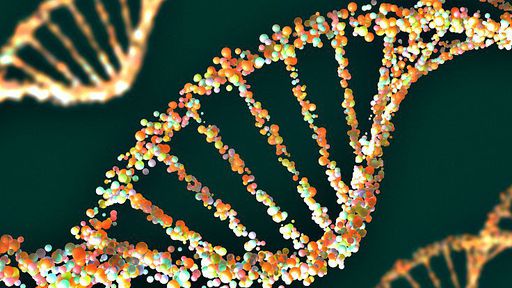 DNA do Brasil: país terá primeiro sequenciamento genômico de sua população