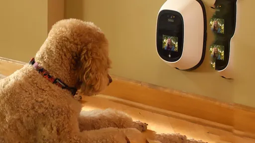 Coisas da tecnologia: seu cachorro já pode te ligar no meio do expediente