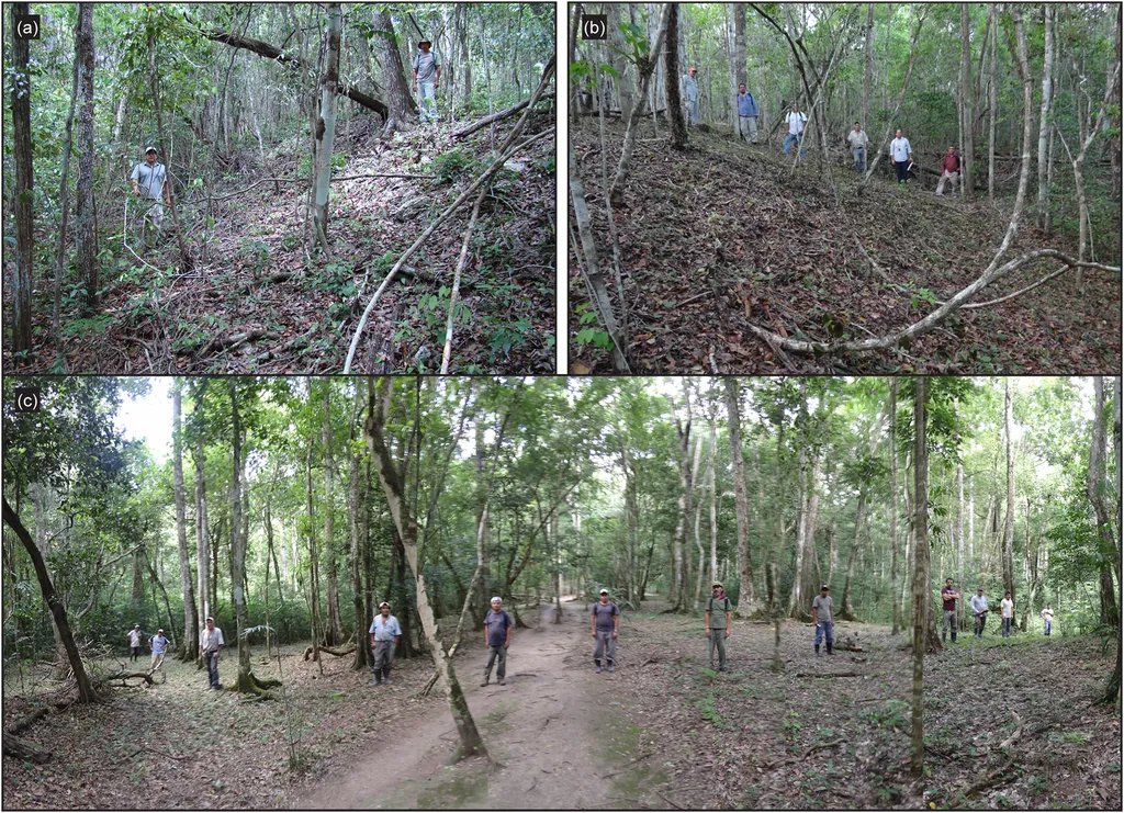 Após o escaneamento, os pesquisadores encontraram antigas estradas maias, como esta das fotos (Imagem: Hansen et al./Ancient Mesoamerica)