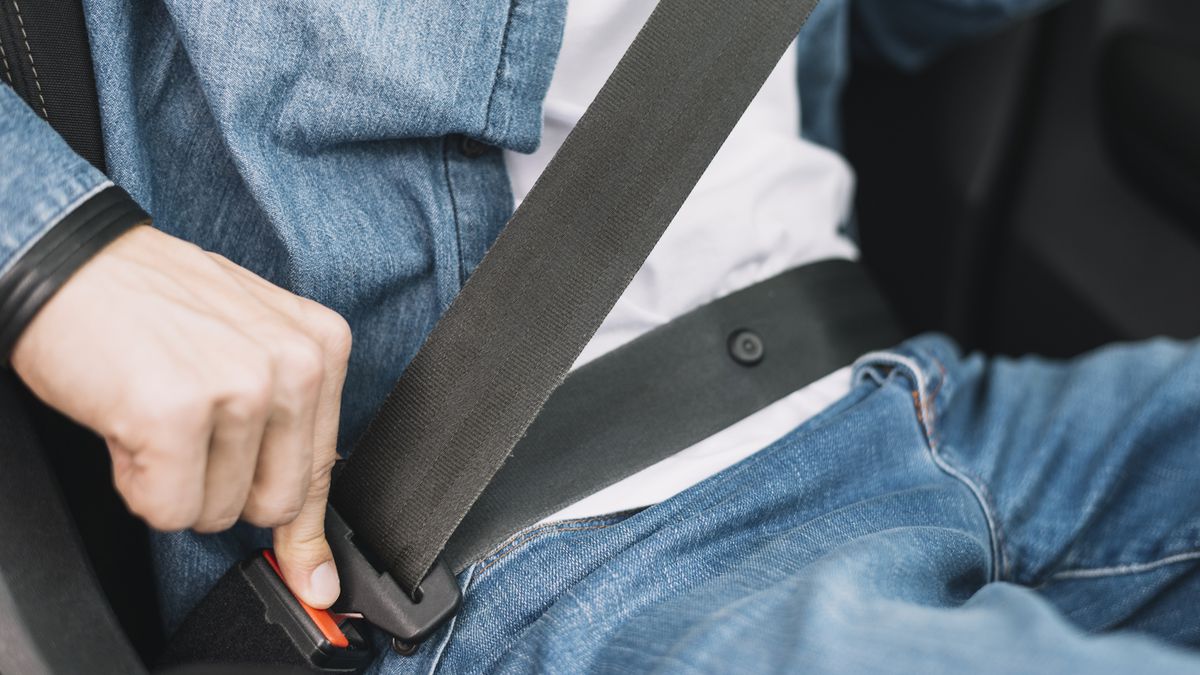 O que é o botão de plástico no cinto de segurança dos carros?