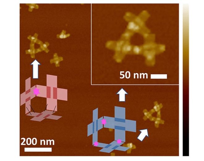 Cientistas criam nanorrobôs 3D com filamentos de DNA (Imagem: Zhou et al., 2023/Science Robotics)