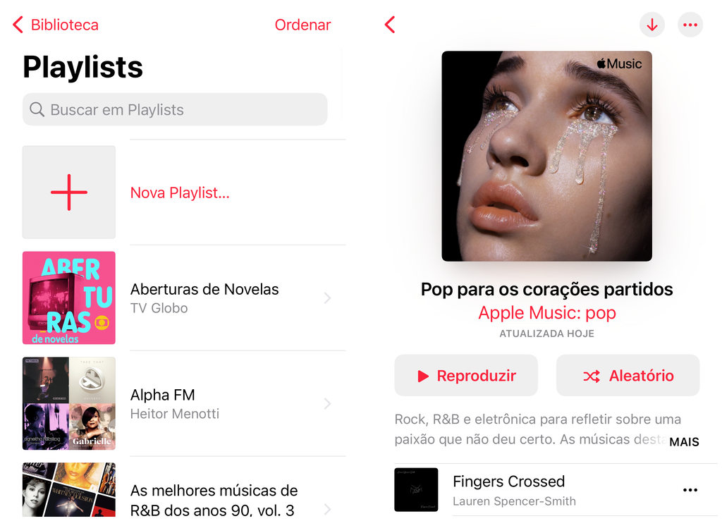 Aproveite a playlist importada no seu Apple Music (Captura de tela: Thiago Furquim)