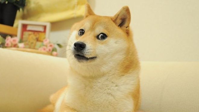 NFT do meme DOGE quase bate os US$ 550 milhões