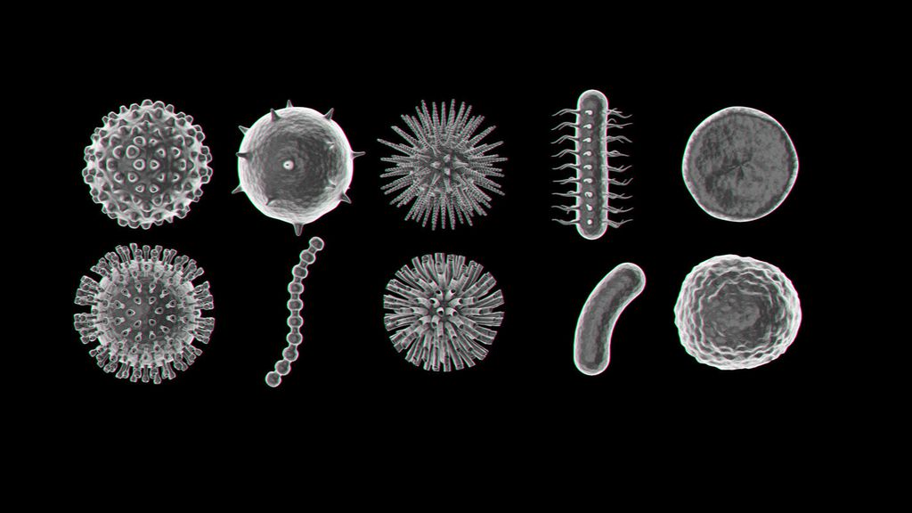 Várias formas de micróbios