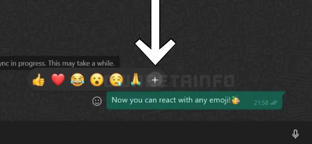 As reações com qualquer emoji estão disponíveis no botão "+" (Imagem: Reprodução/WABetaInfo)