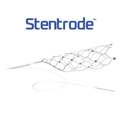 Stentrode lembra um "stent"usado em cirurgias cardíacas (Imagem: Reprodução/Synchron)
