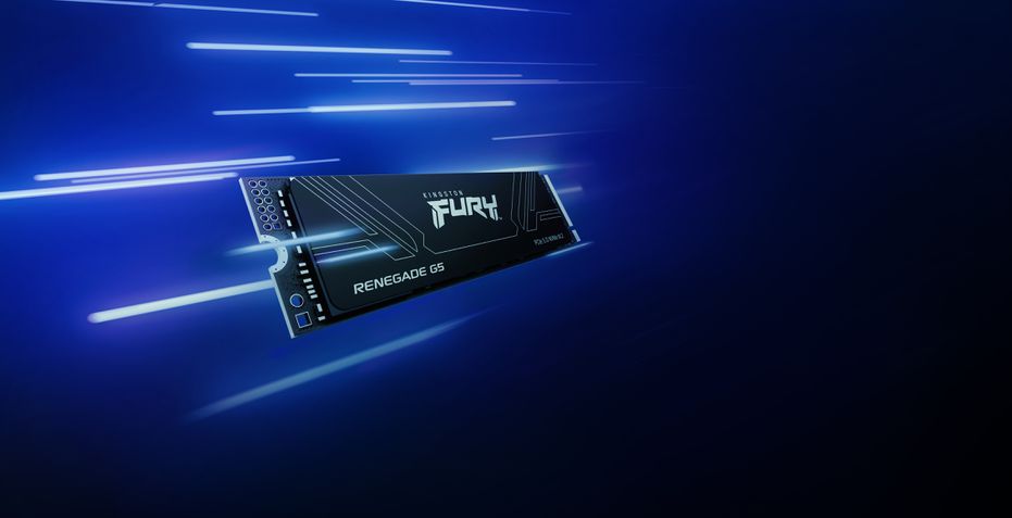 SSD Kingston Fury Renegade G5