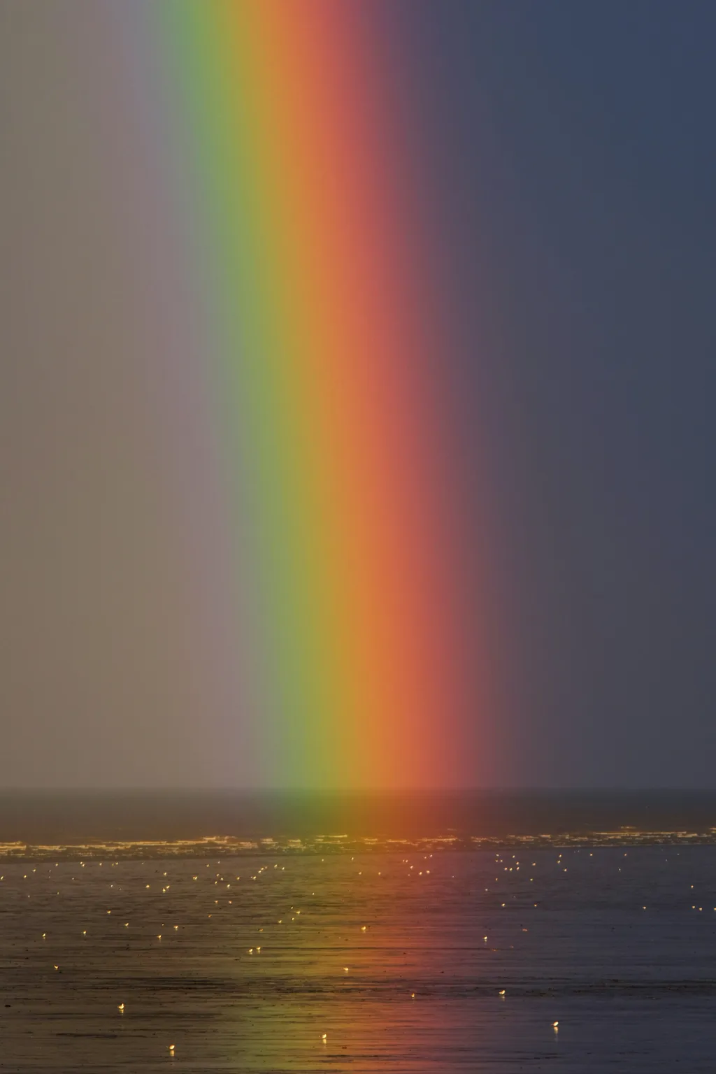 O arco-íris é formado pela refração da luz em gotículas de água na atmosfera (Imagem: Zoltan Tasi/Unsplash)