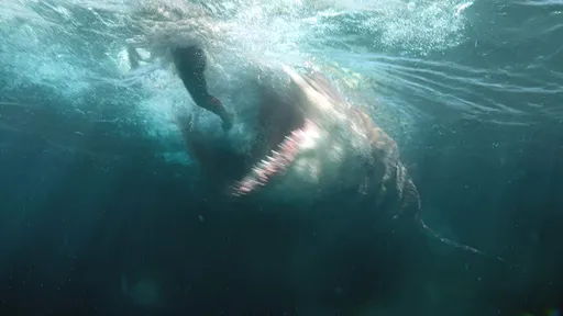 10 filmes de tubarão que vão fazer você se borrar de medo
